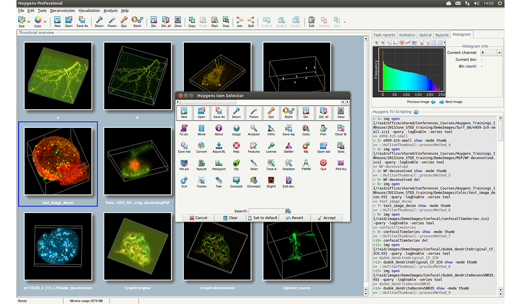 Huygens Professional